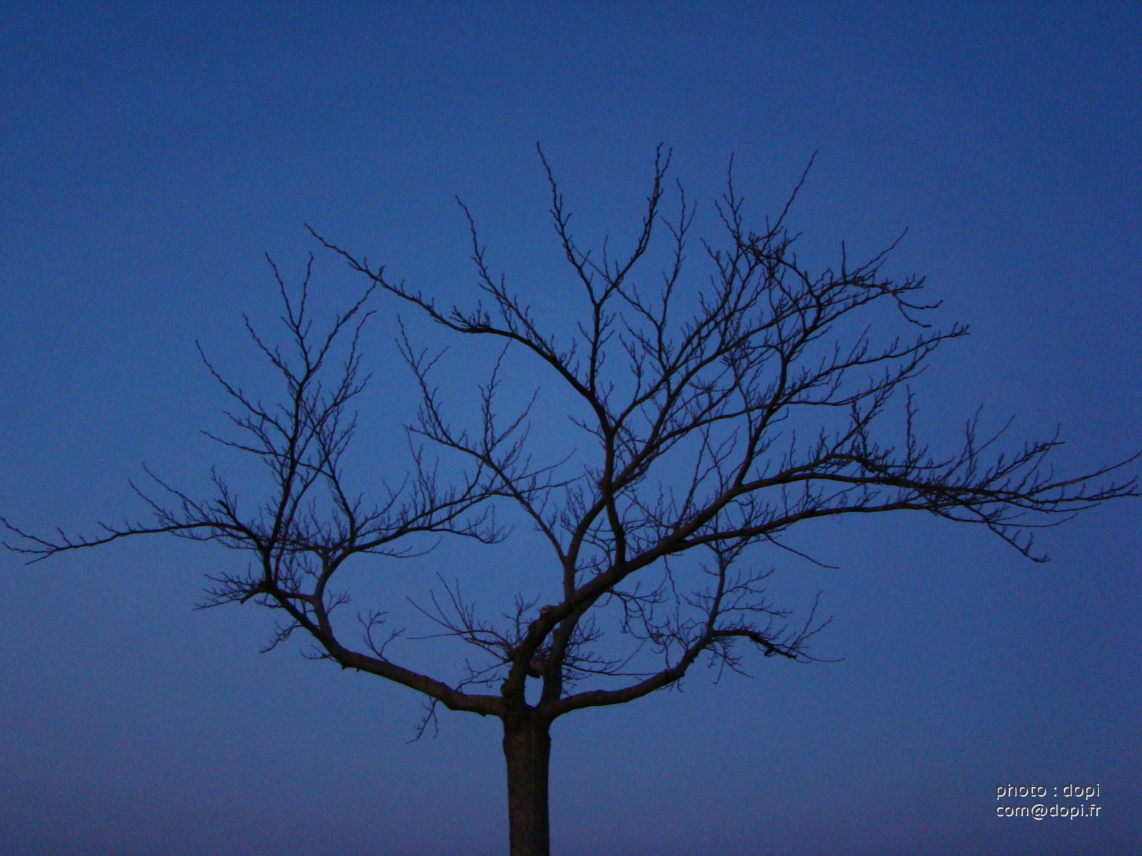 00003 mars2008 275,medium large.2x.1486913660